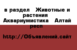  в раздел : Животные и растения » Аквариумистика . Алтай респ.